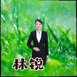 林锐